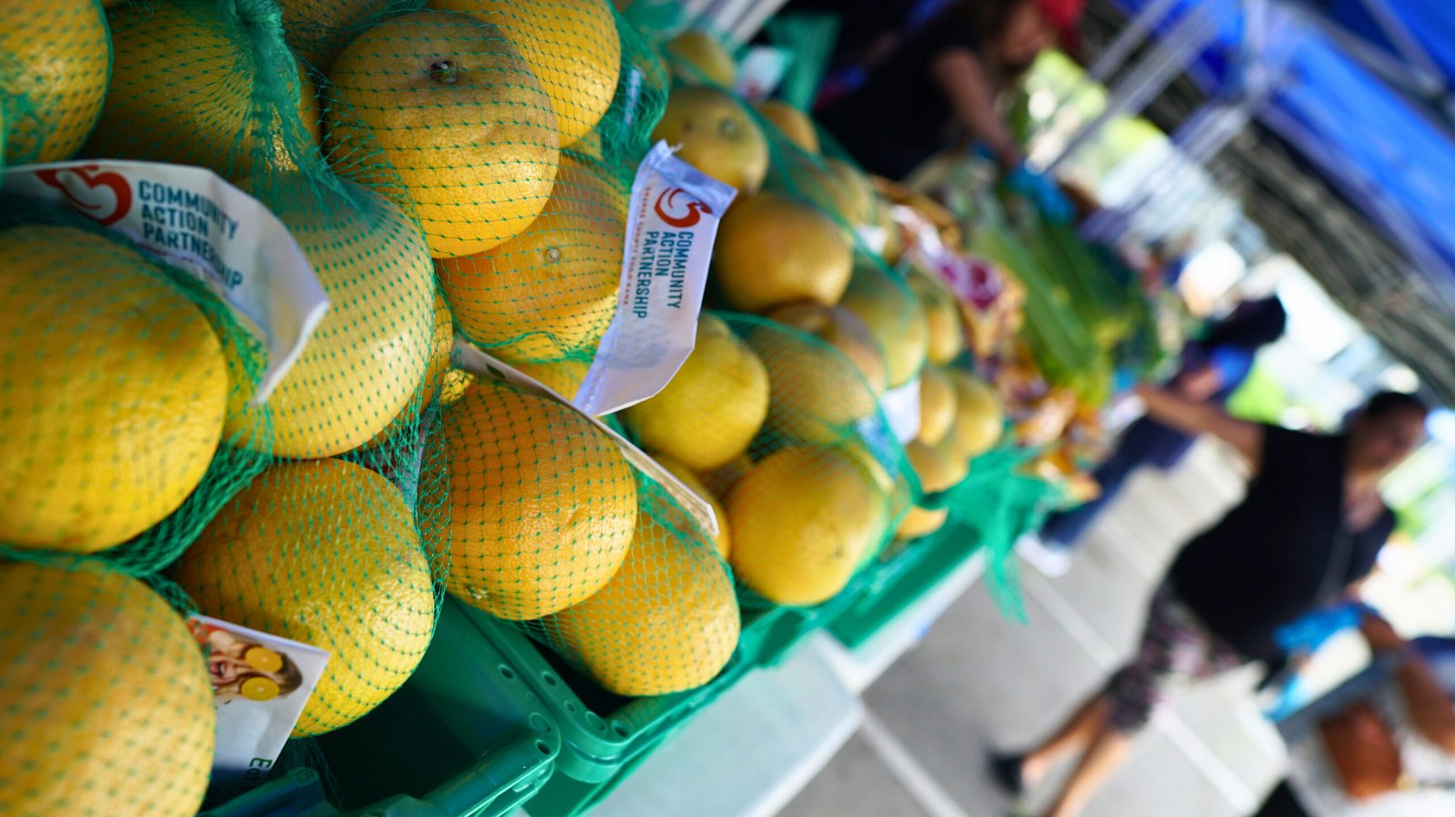 Equipo de Cancer Prevention de Latino Health Access trabajando con familias en Orange County